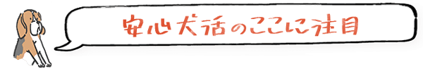 安心犬活のここに注目
