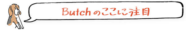 Butchのここに注目