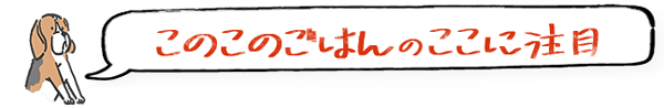 このこのごはんのここに注目