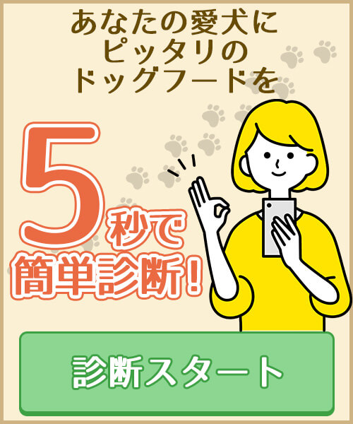 あなたの愛犬にピッタリのドッグフードを5秒で簡単診断！