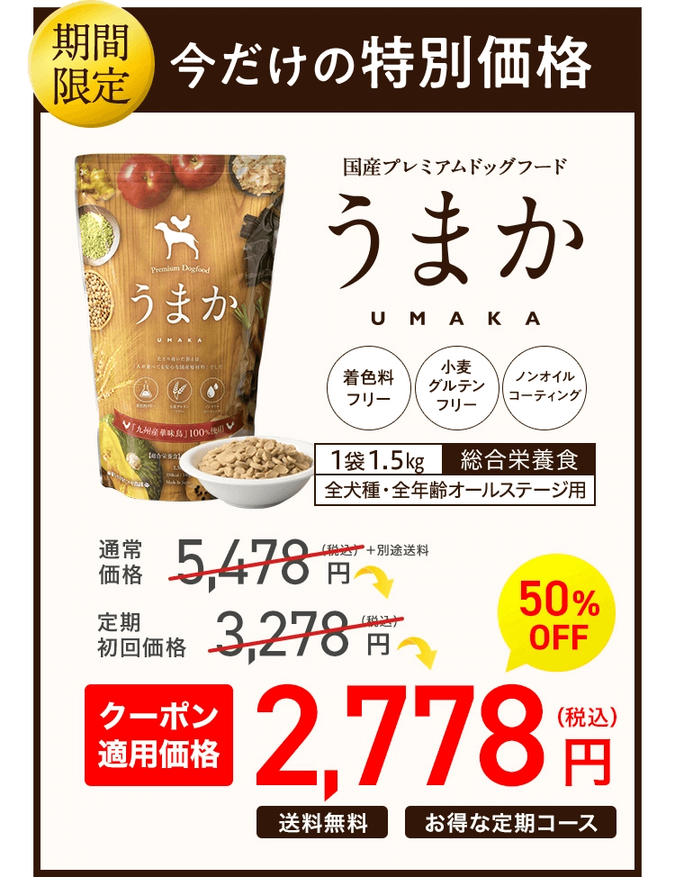 期間限定！今だけの特別価格